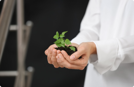 about seed