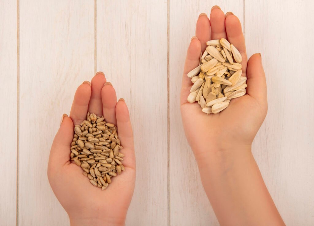 Best Wheat Seed for Gujarat
